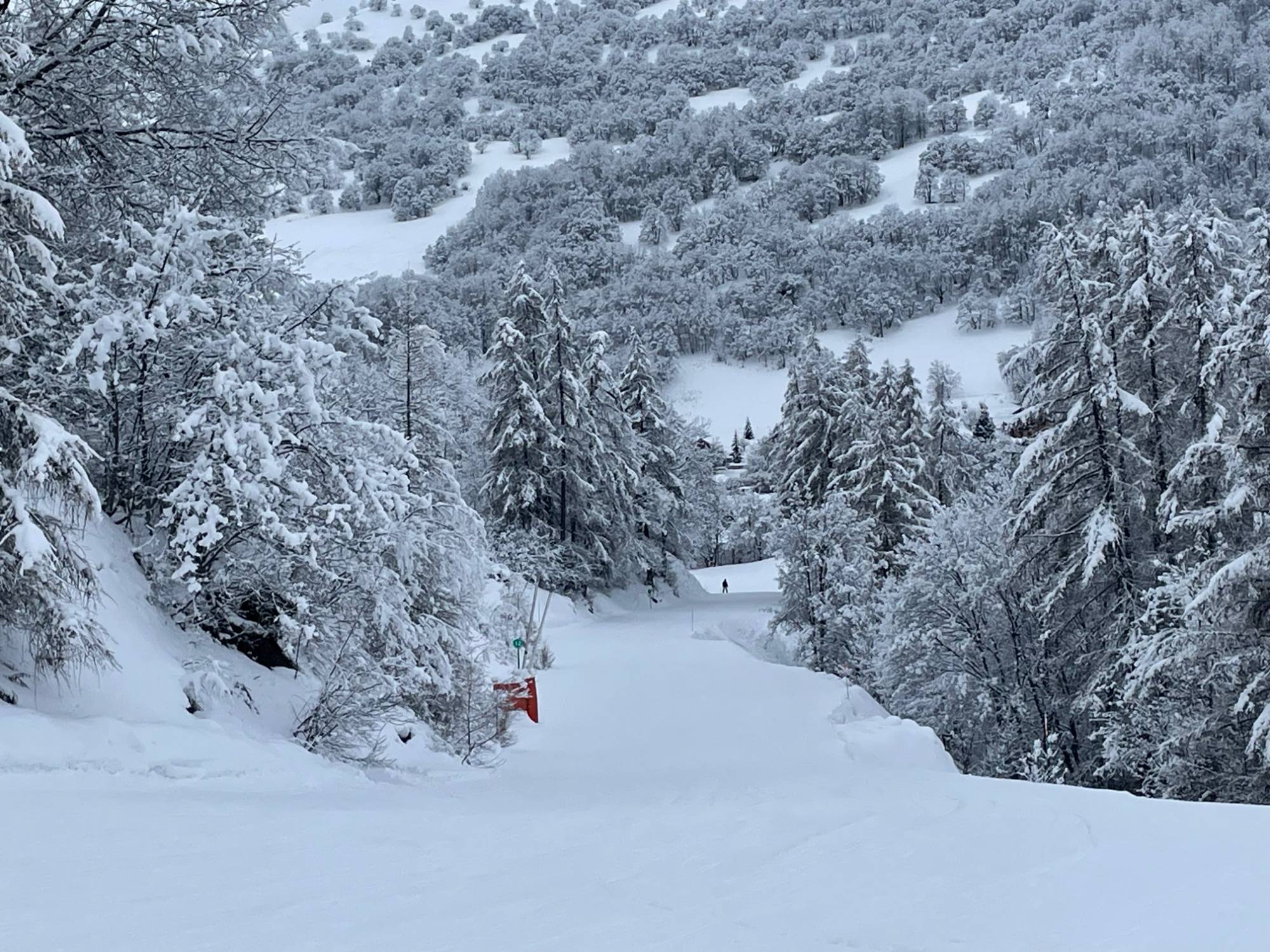 Piste de ski en forêt enneigée à Valloire